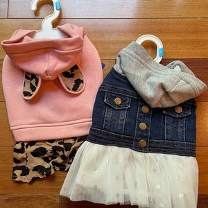 Top Paw Dog Dresses for Fall Fashion